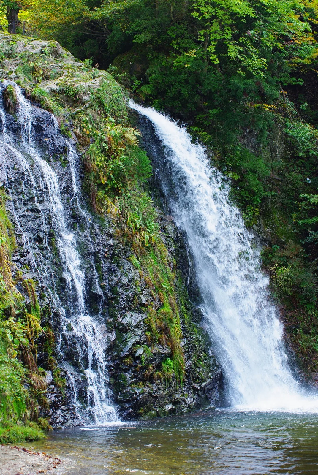 Shirogane Falls dropping in two streams into a green pool, surrounded by trees