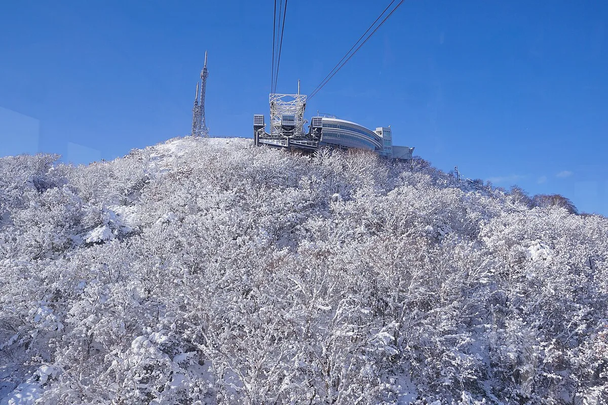 Snow-covered trees below the Mt. Hakodate Ropeway summit station, seen from the gondola