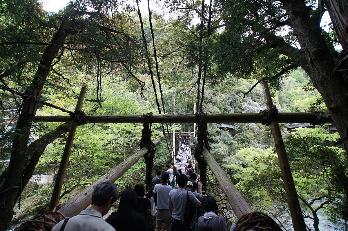 Visitors in single file crossing the Iya Kazurabashi vine bridge between vine-wrapped log posts, seen from the bridge entrance