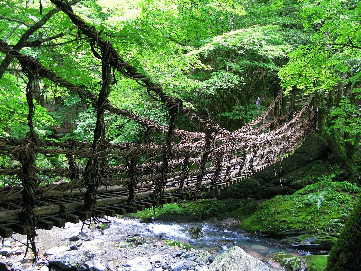 One of the Oku-Iya double vine bridges, its vine ropes and slatted deck spanning a rocky stream in green forest