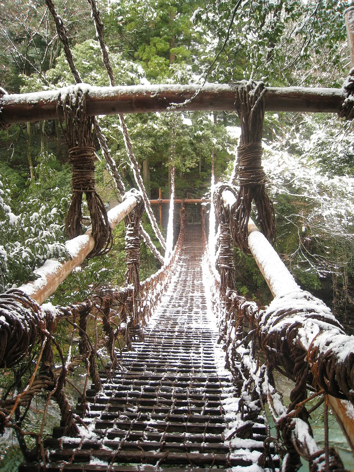 Snow on the handrails and wooden slats of the Iya Kazurabashi vine bridge, with snowy trees on both banks