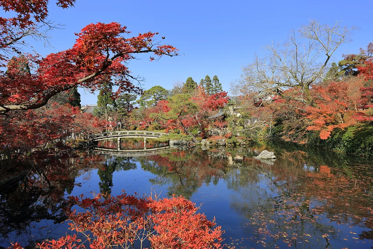 Red maple leaves around the pond and arched bridge at Eikan-do temple in Kyoto in November