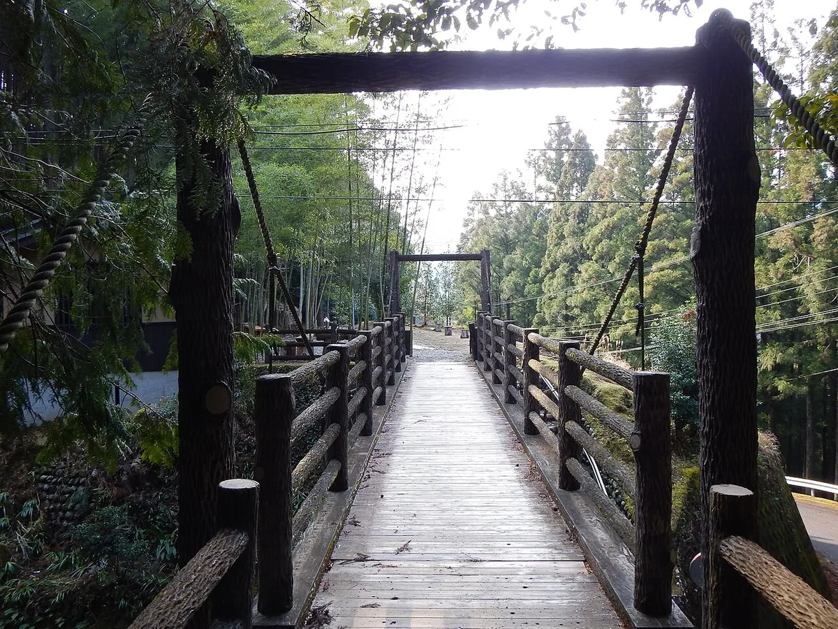 Wooden footbridge with log railings leading into cedar and bamboo forest