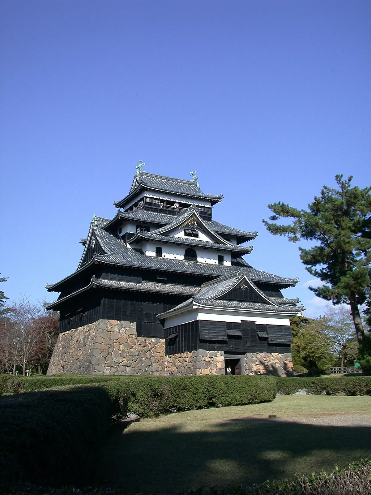 The black-timbered keep of Matsue Castle on its stone base, with a pine tree and clipped hedges in front