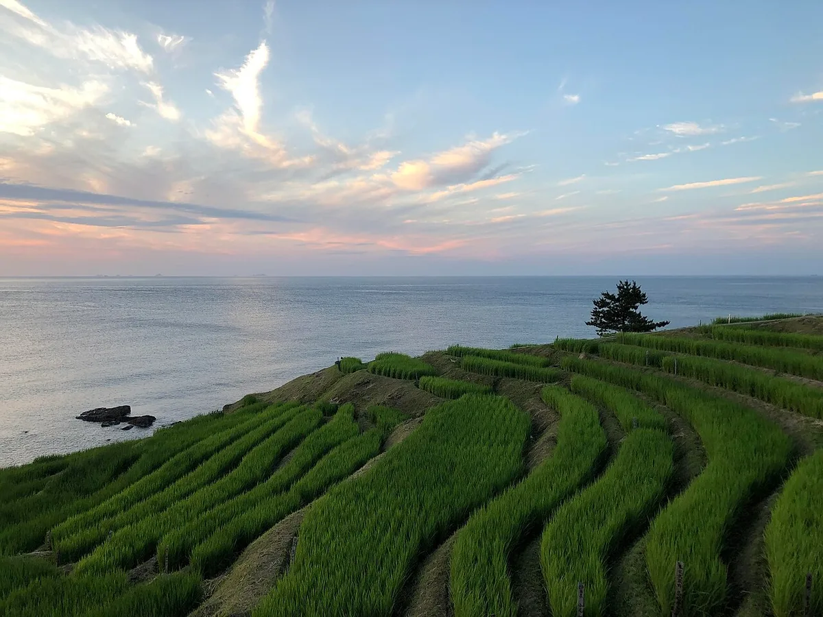 Shiroyone Senmaida rice terraces stepping down to the sea at dusk, Wajima, photographed before the 2024 earthquake