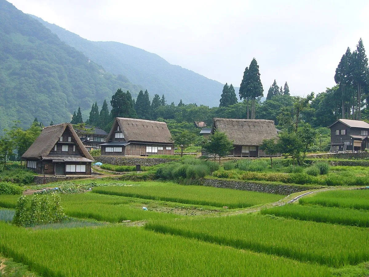 Thatched gassho-zukuri farmhouses above green terraced rice fields in Ainokura, with forested mountains behind