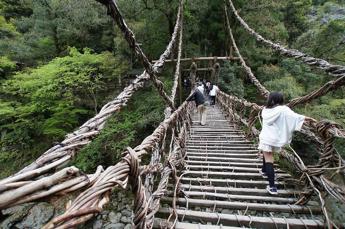 Visitors crossing the Iya Kazurabashi vine bridge on wooden slats between thick vine ropes