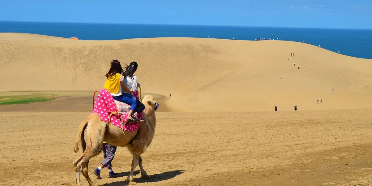 Two riders seen from behind on a camel with a pink saddle, crossing the sand dunes towards the sea
