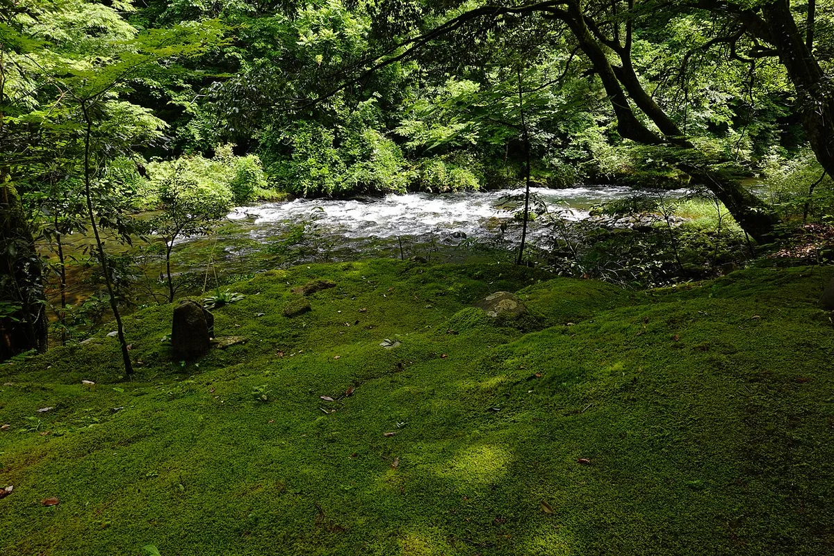 Moss-covered riverbank under trees beside the rapids of the Daishoji River in the Kakusenkei Gorge